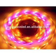 Dekorative Beleuchtung Niederspannung SMD 3528 Magic RGB LED Flexible Streifen Licht Serie CE &amp; RoHS Zertifikat DC12V / 24V